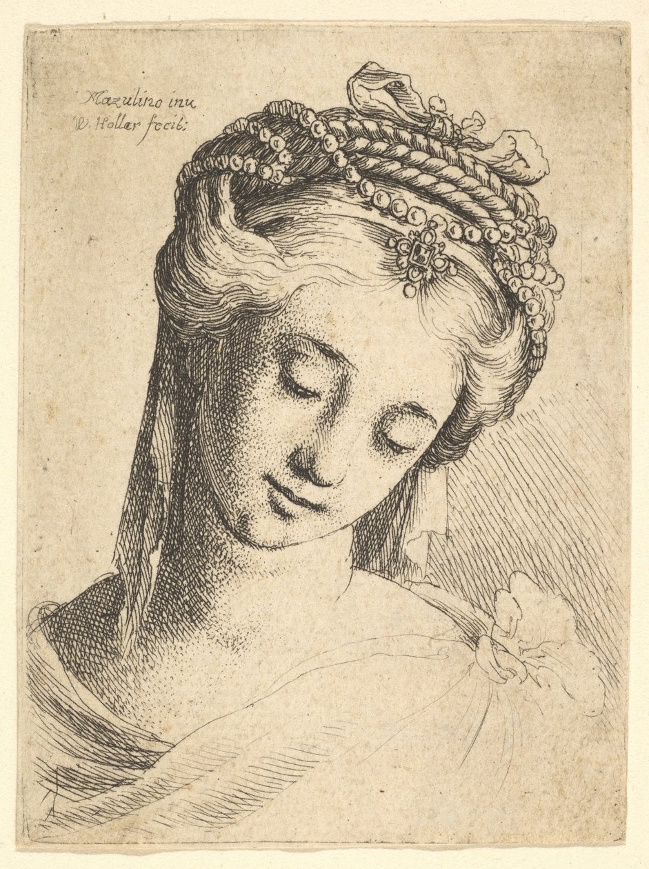 Ayrıntılı başlıklı genç bir kadının büstü, aşağı bakıyor., 1625-77. by Wenceslaus Hollar