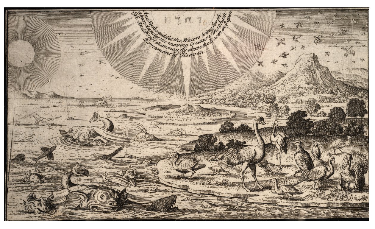 Kuşların ve balıkların yaratılması. durum 1 by Wenceslaus Hollar