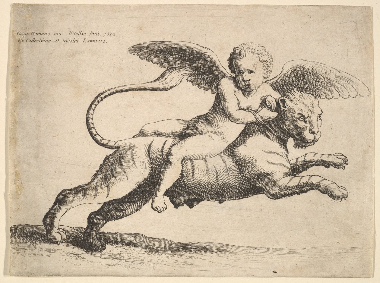 Kaplan üzerinde aşk tanrısı, 1652. by Wenceslaus Hollar