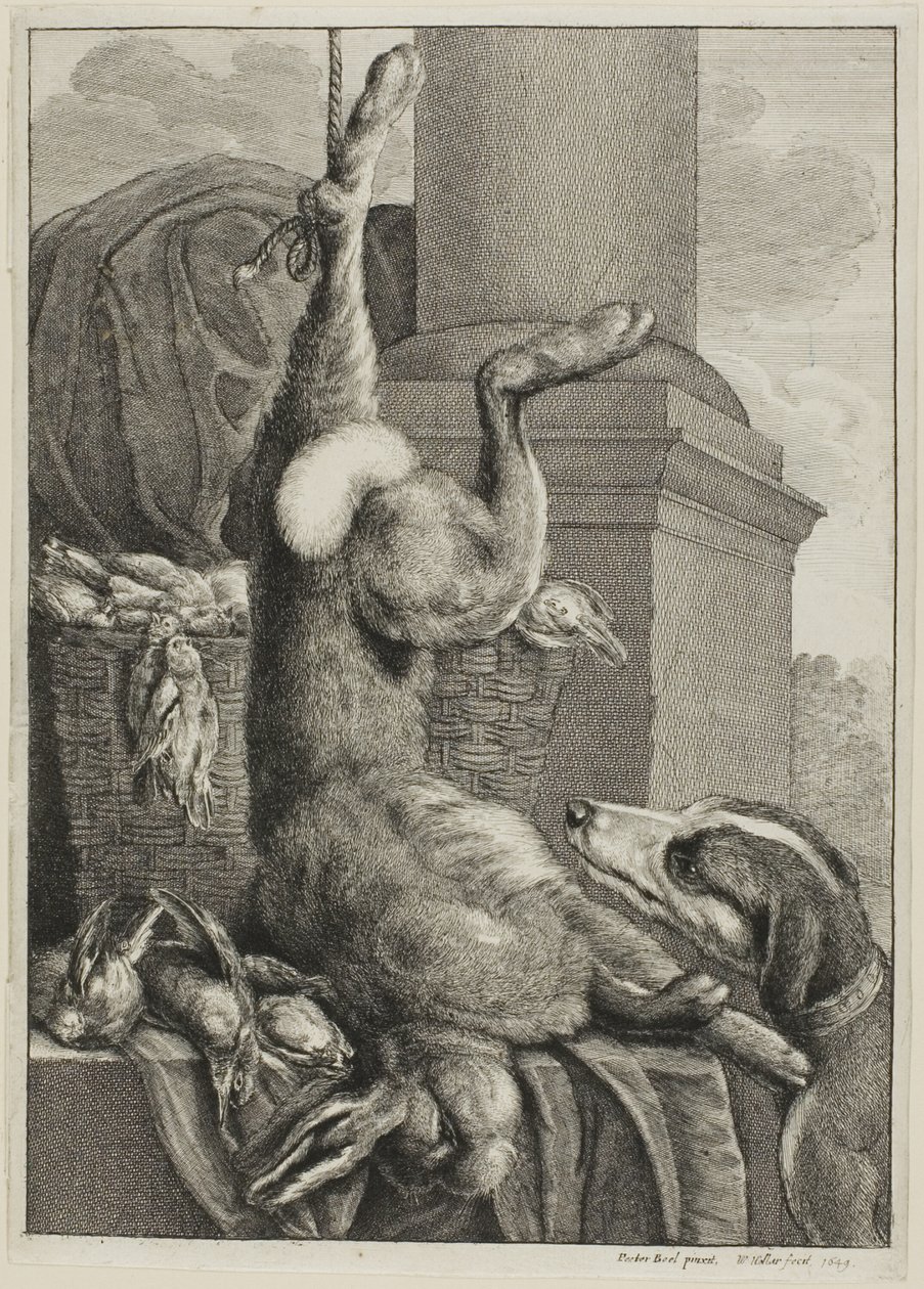 ölü tavşan by Wenceslaus Hollar