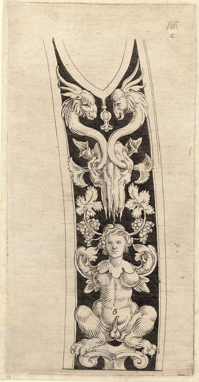 Albrecht Durer