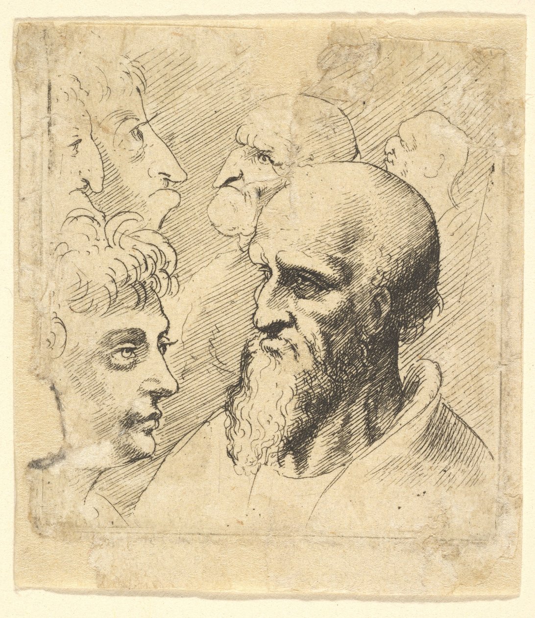 Kanıt, 1645 by Wenceslaus Hollar