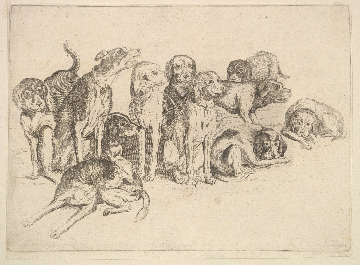On Bir Tazı, 1625-77. by Wenceslaus Hollar