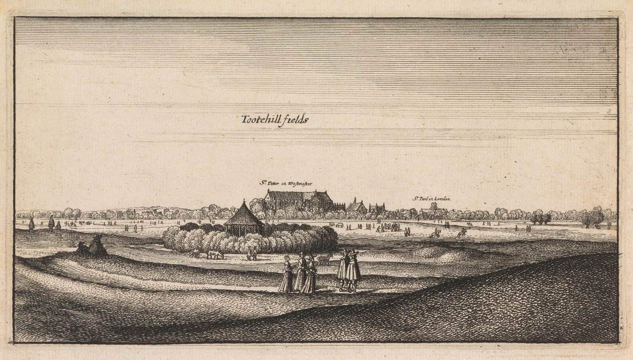 İngilizce Görünümler: Tootehill Alanları by Wenceslaus Hollar