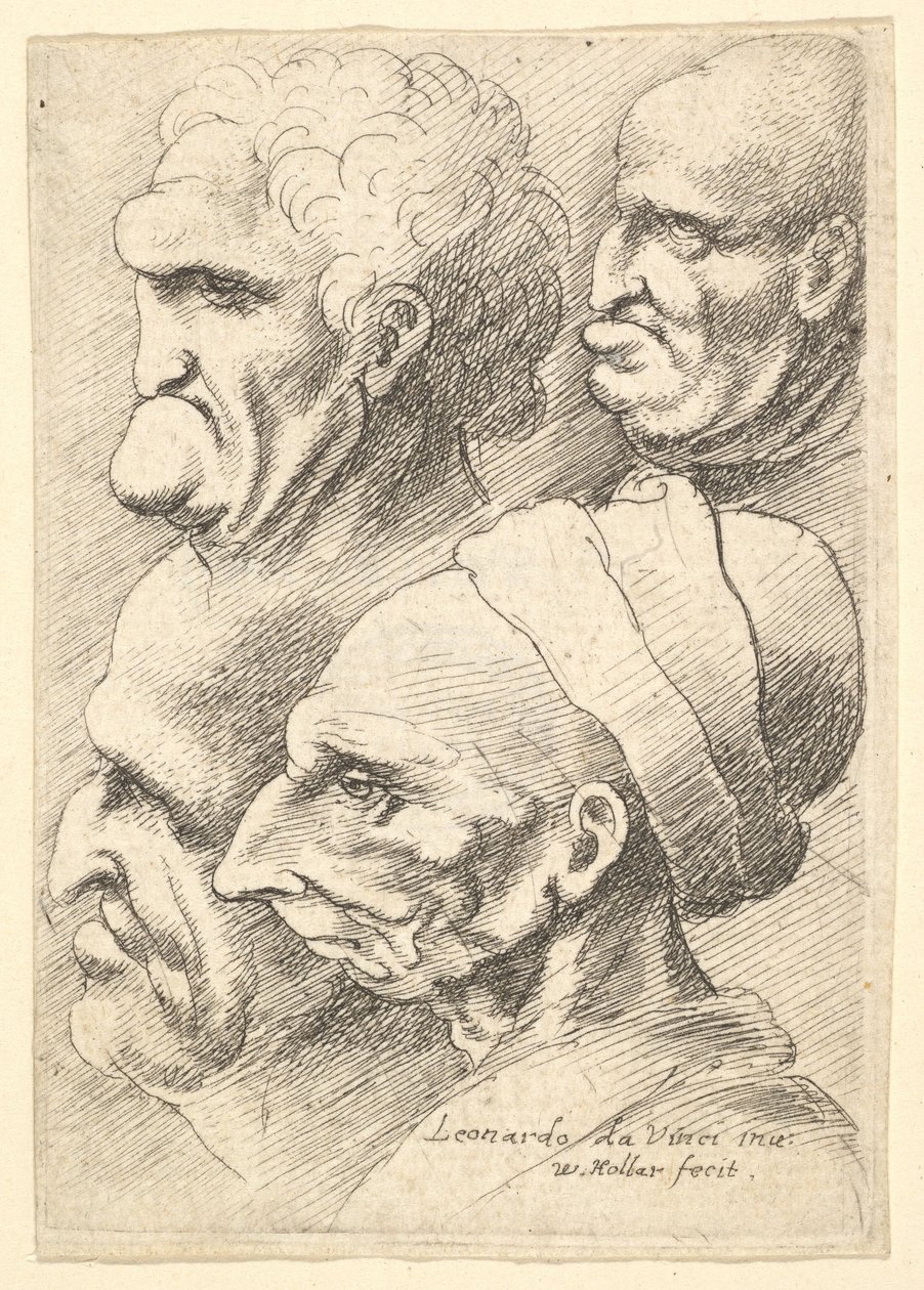 Soldan profilde dört grotesk kafa, 1625-77. by Wenceslaus Hollar