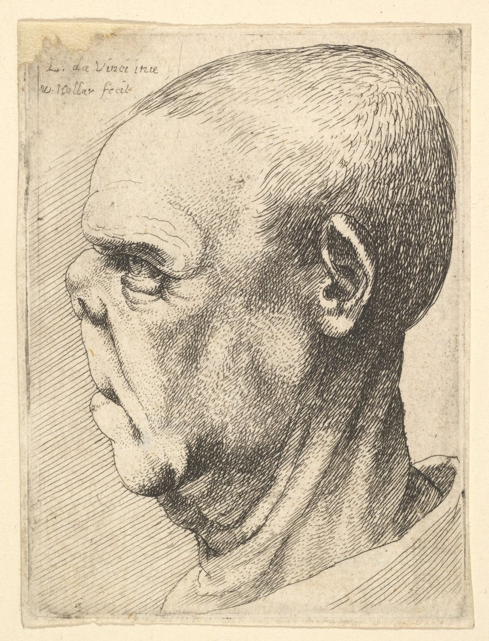 Profilde basık burunlu, grotesk yaşlı adam, 1625-77. by Wenceslaus Hollar