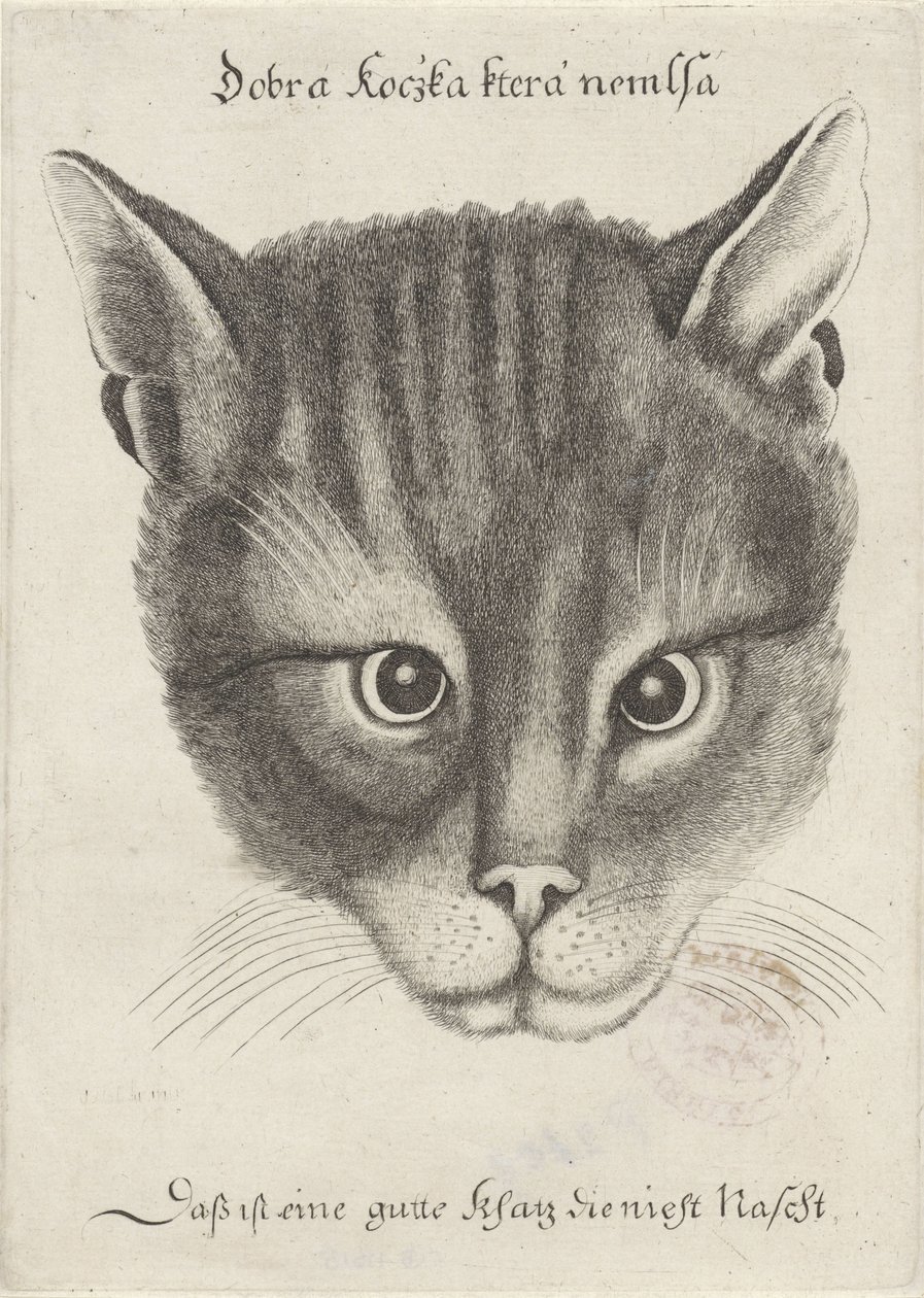 Bir Kedi Başkanı by Wenceslaus Hollar