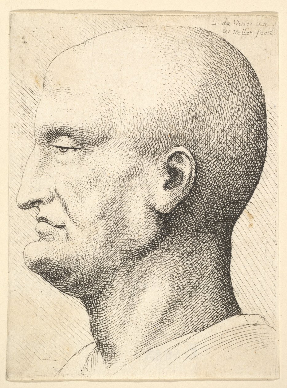 Soldan profilde kel bir adamın başı, 1644-52. by Wenceslaus Hollar