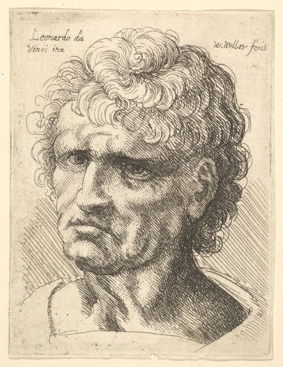 Ciddi ifadeli bir adamın başı, 1625-77. by Wenceslaus Hollar