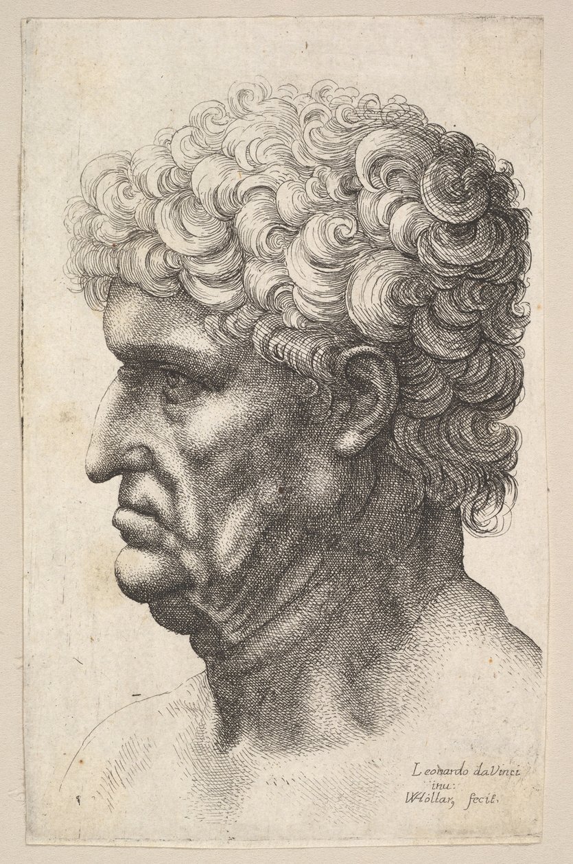 Soldaki profilde kalın kıvırcık saçlı bir adamın başı, 1640-49. by Wenceslaus Hollar