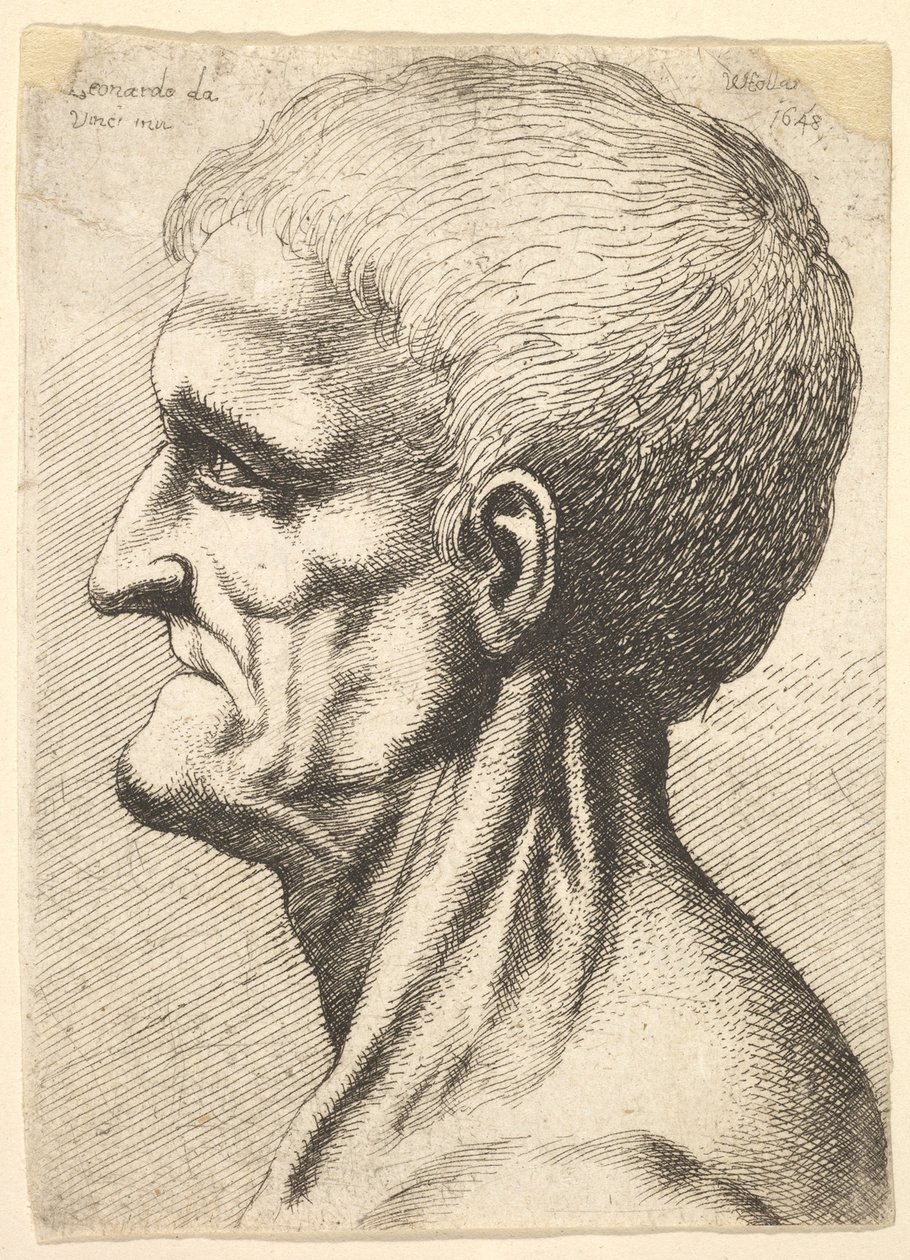 Profilden sola doğru çıplak, kaslı boynu olan dişsiz bir adamın başı, 1648. by Wenceslaus Hollar
