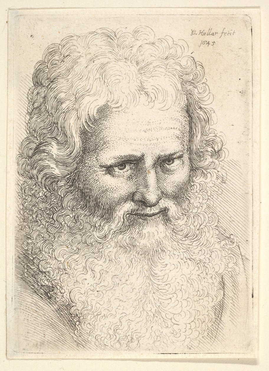 Büyük sakallı yaşlı bir adamın başı, 1645. by Wenceslaus Hollar