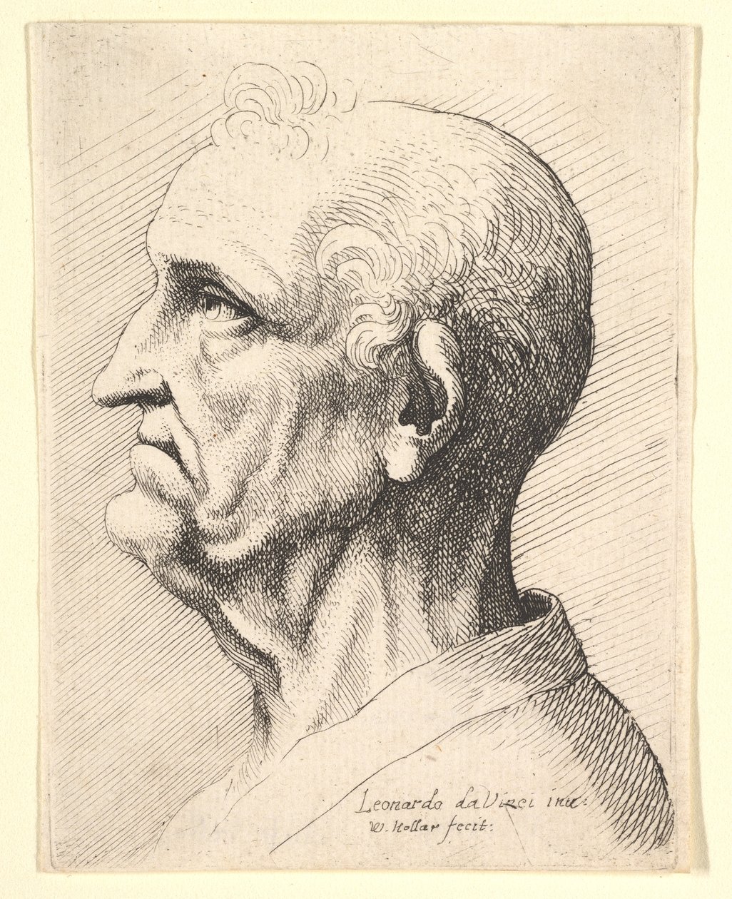 Soldan profilde kulak çevresinde kıvırcık saç tutamları olan yaşlı bir adamın başı, 1644-52. by Wenceslaus Hollar