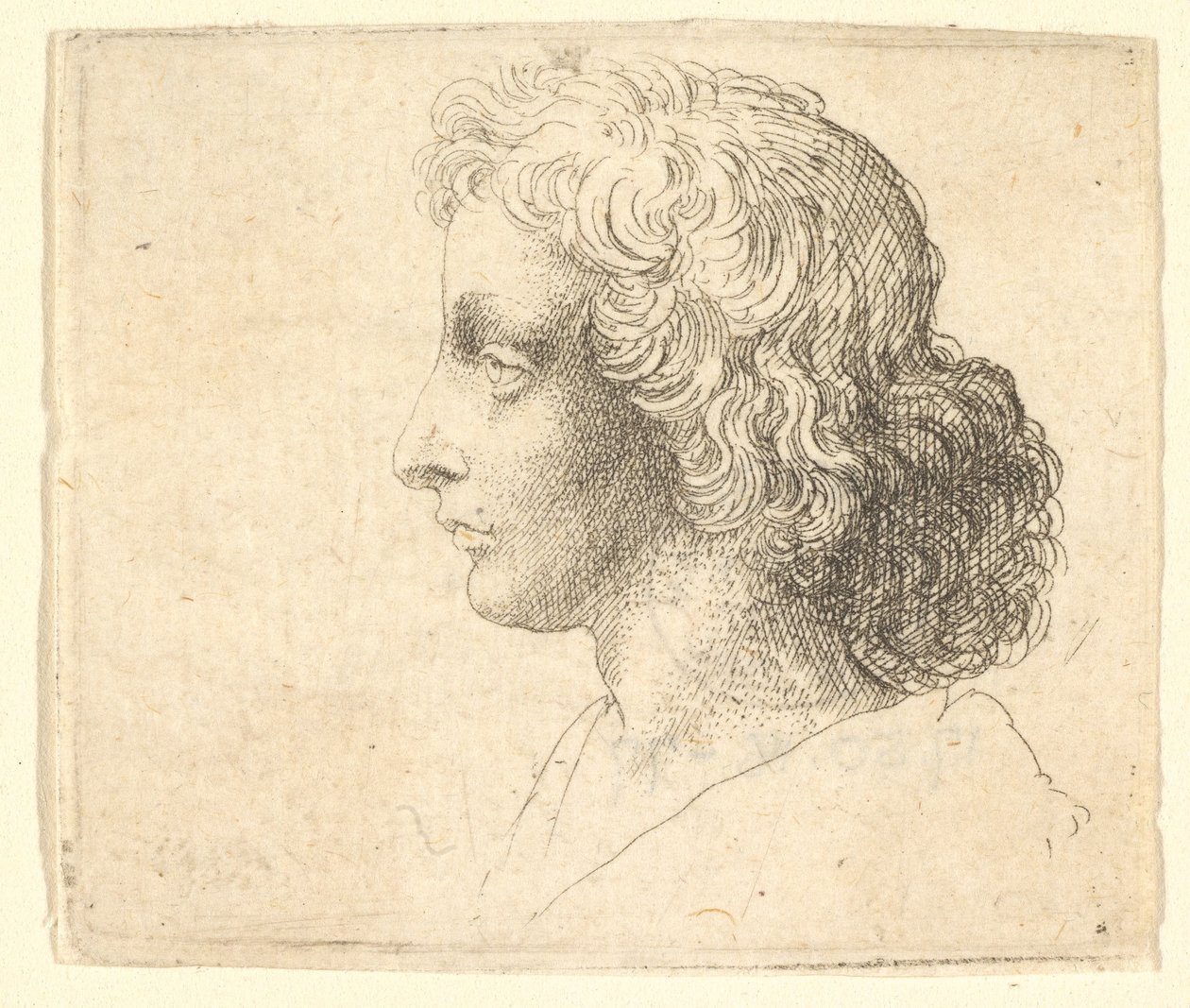 Soldaki profilde uzun saçlı genç adamın başı, 1644-52. by Wenceslaus Hollar