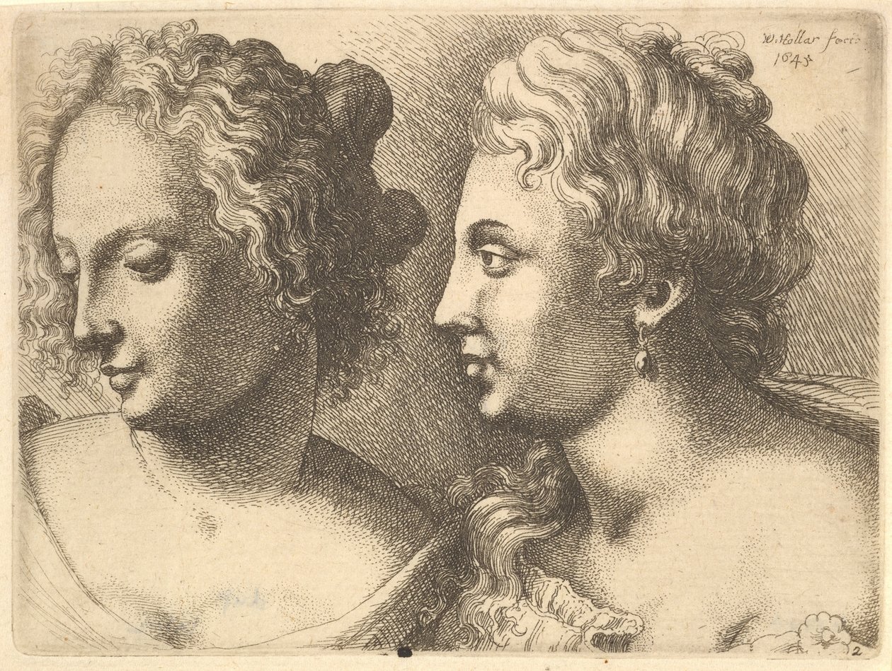 İki genç kadının başları, 1645. by Wenceslaus Hollar