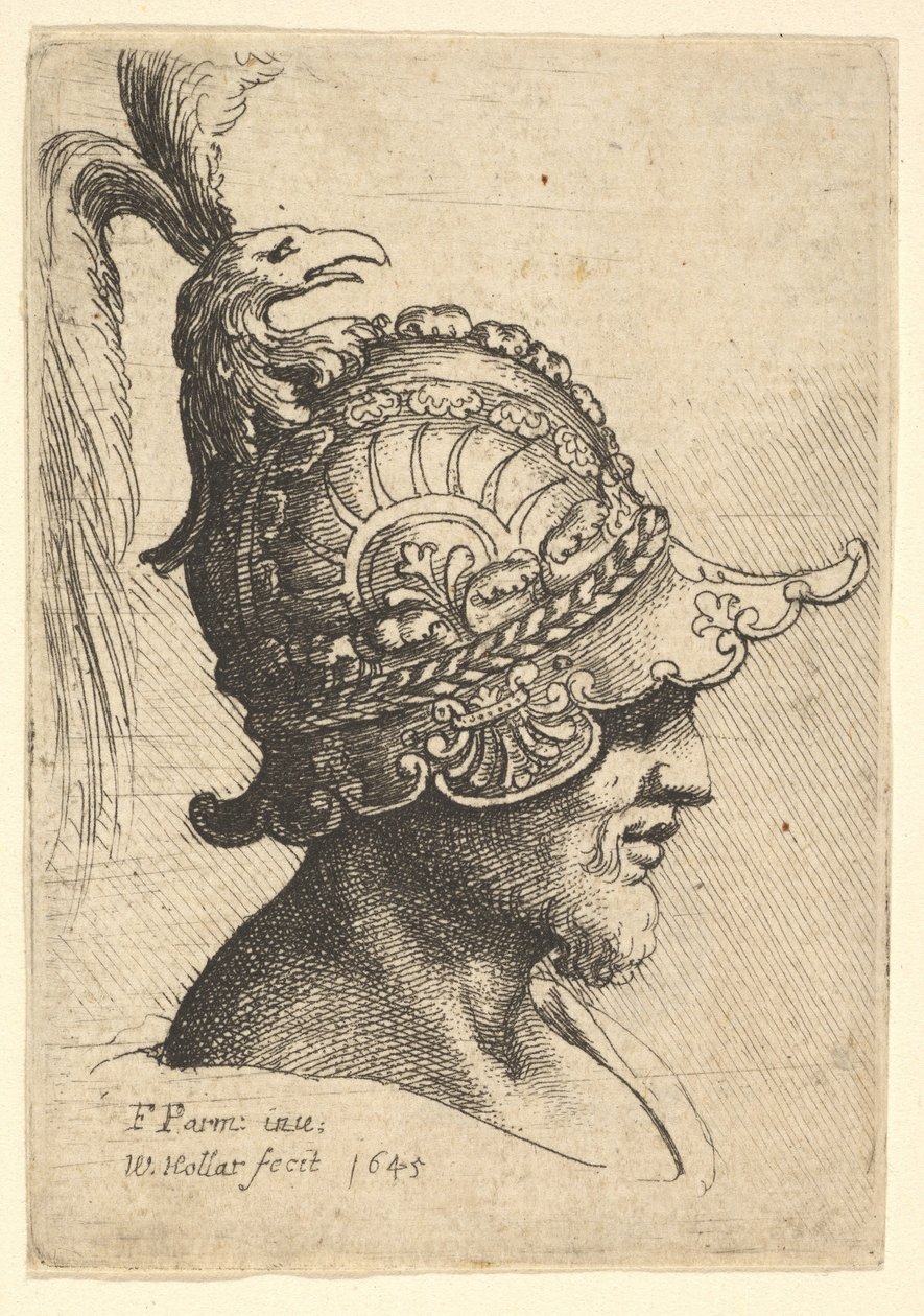 Kuş Kafası Armalı Miğferli Kafa, 1645. by Wenceslaus Hollar