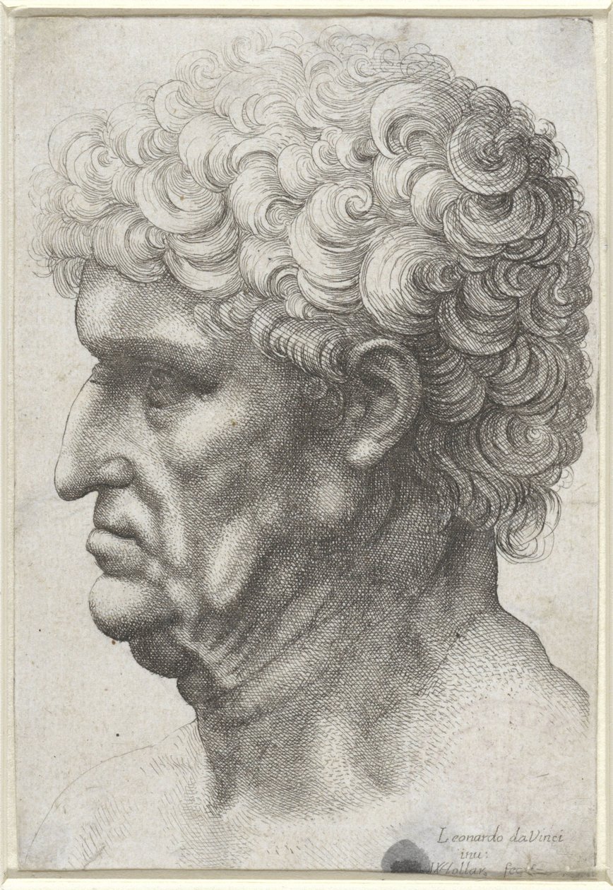 Profilde kıvırcık saçlı adamın başı by Wenceslaus Hollar