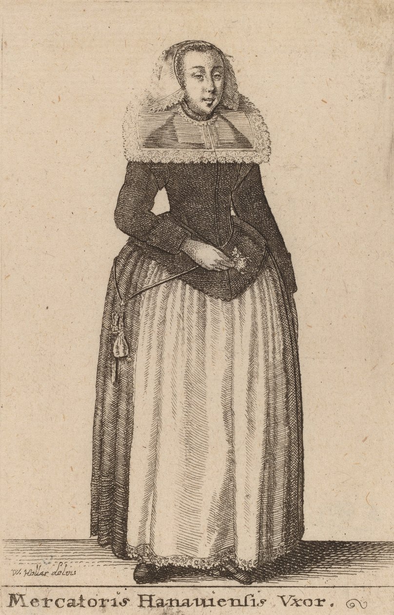 Tüccar Hanauiensis