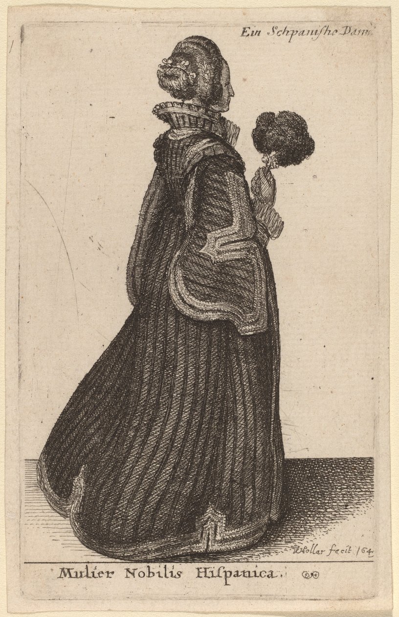 İspanyol kaplanı kadın by Wenceslaus Hollar