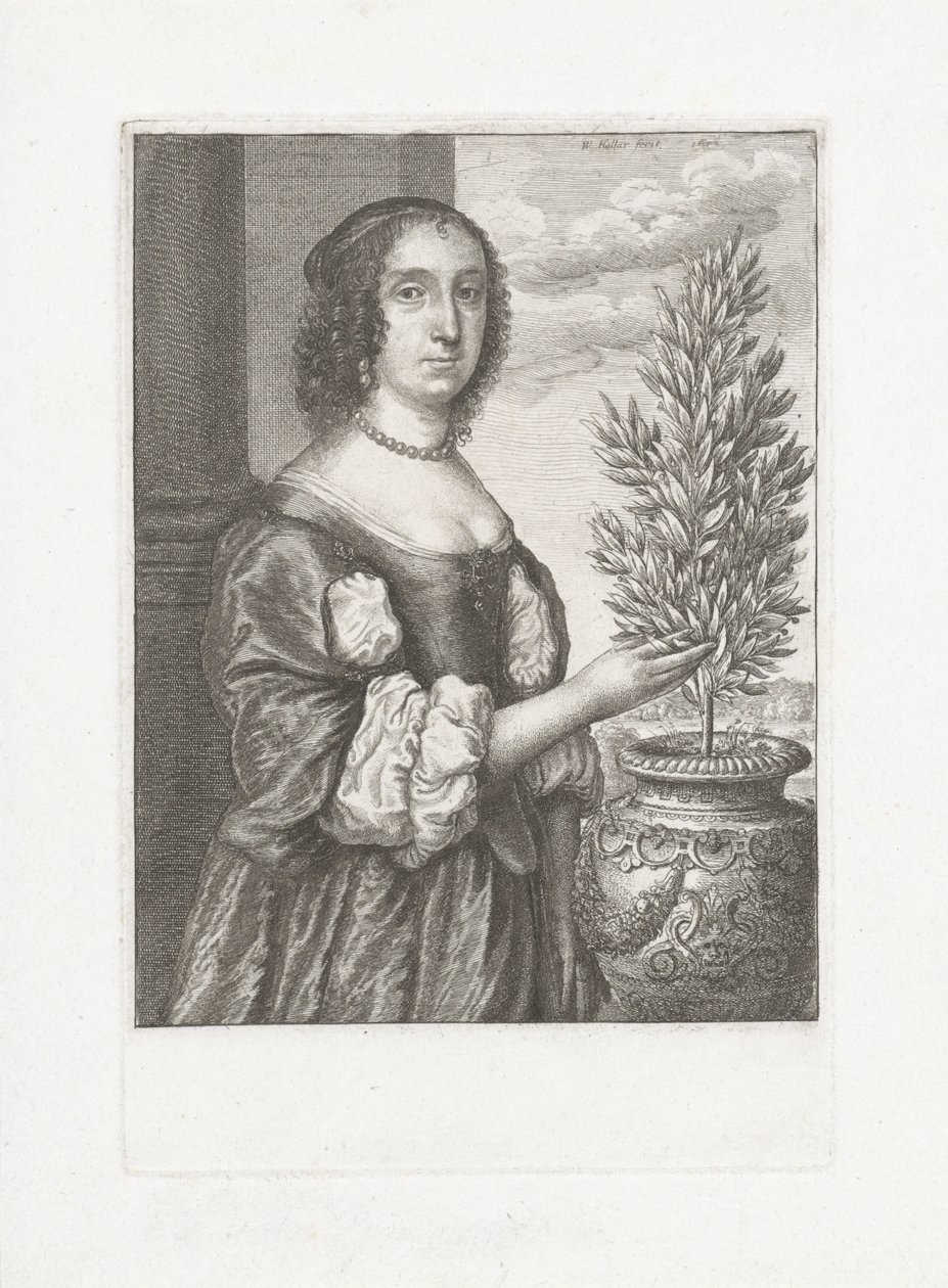 Bir defne bitkisinin yanında duran bir kadının portresi by Wenceslaus Hollar