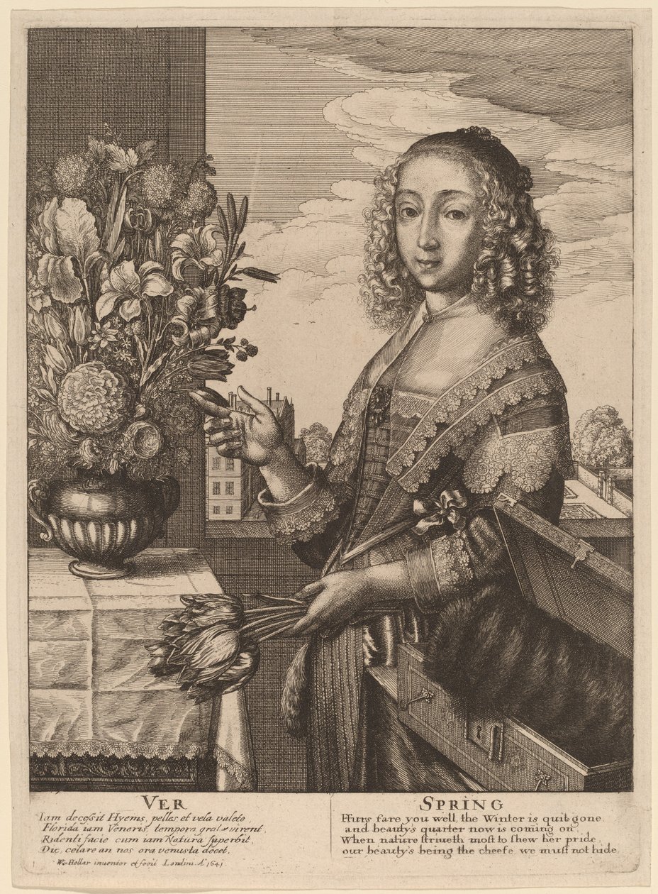 Bahar by Wenceslaus Hollar