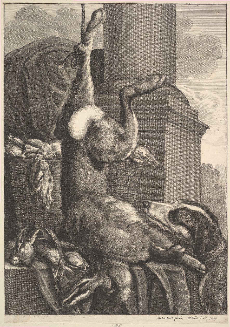 Ölü Tavşan, 1649. by Wenceslaus Hollar