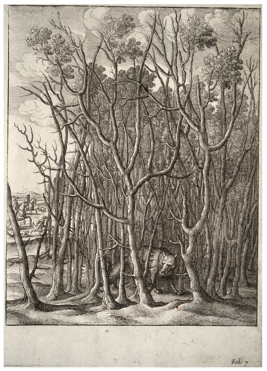 Tilki ve dikenli çalı. durum 2 by Wenceslaus Hollar
