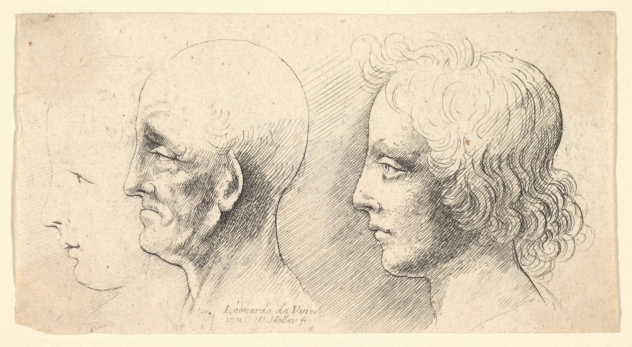 Üç profil kafası, biri yalnızca anahatta, 1625-77. by Wenceslaus Hollar