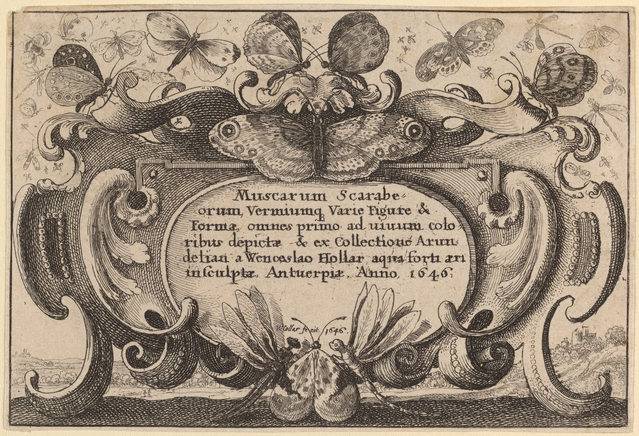 Baş sayfa by Wenceslaus Hollar