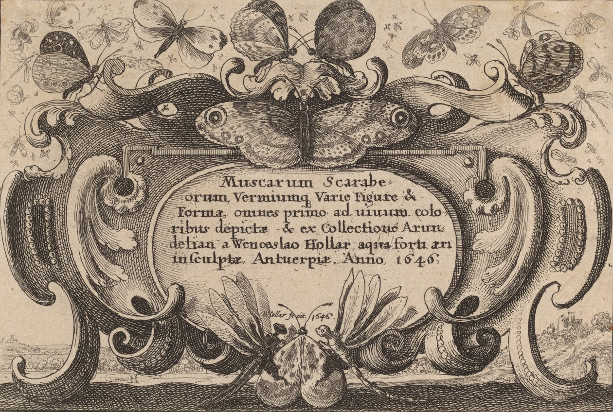 Başlık Sayfası, 1646. by Wenceslaus Hollar