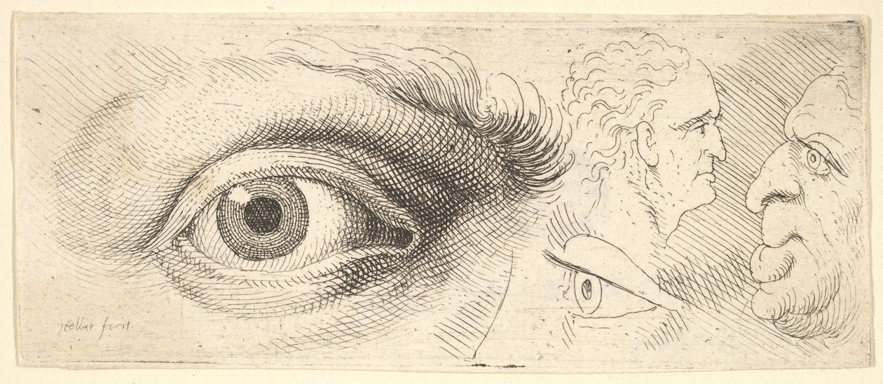 İki göz ve iki kafa, 1644-52. by Wenceslaus Hollar
