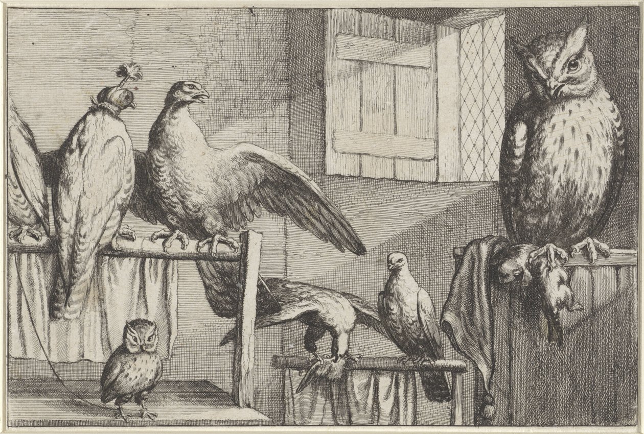 Bir ahırda şahinler ve baykuşlar Diversae avium türleri (seri başlığı) Farklı kuşlar (dizi adı) by Wenceslaus Hollar