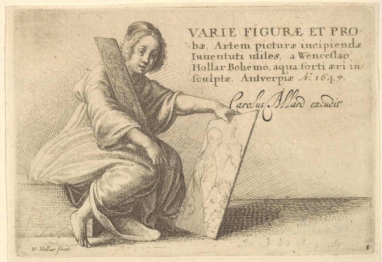 Çeşitli Figürler ve Problar, 1645 by Wenceslaus Hollar