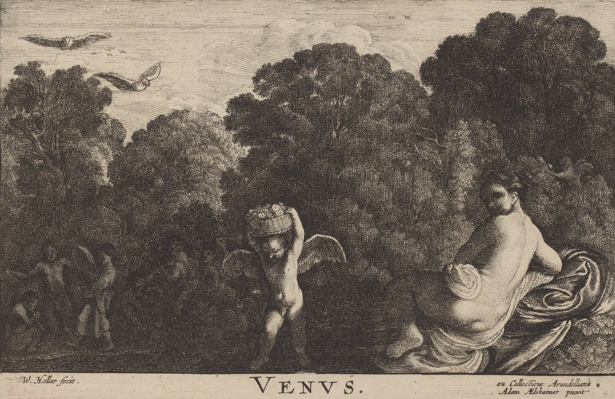 Venüs. by Wenceslaus Hollar