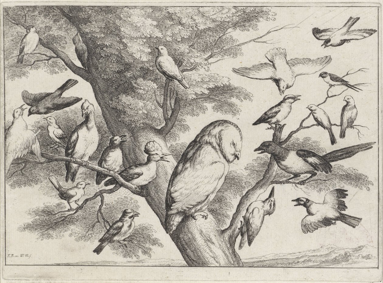 Ağaçtaki kuşlar Farklı kuşlar (dizi adı) by Wenceslaus Hollar
