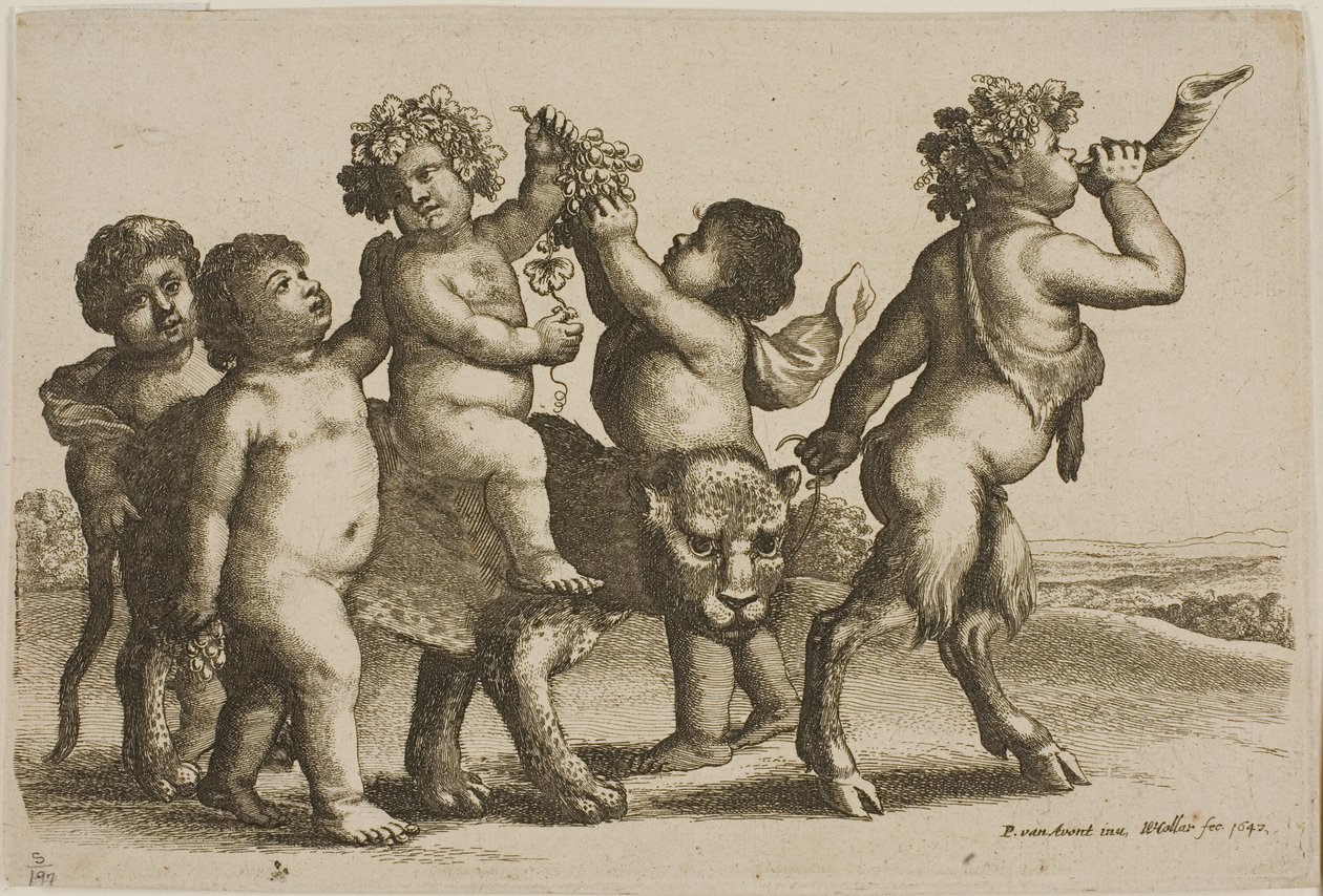 Korna Üfleyen Bir Satyr Tarafından Yönetilen Bir Leopar Binen Genç Bacchus by Wenceslaus Hollar