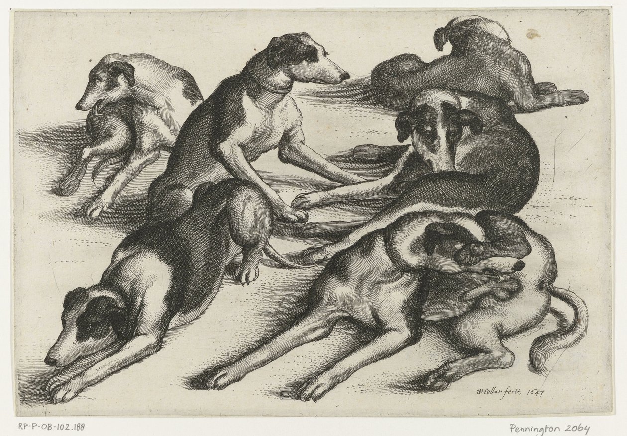 Altı yalancı av köpeği Av, av köpekleri ve oyun (dizi adı) by Wenceslaus Hollar