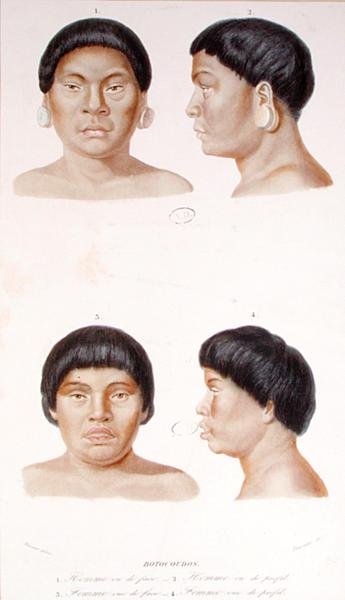 Fournier tarafından oyulmuş iki Botocudos Kızılderilisinin antropometrik çalışması, 19. yüzyılın ortalarında (renkli taş) by Werner Werner