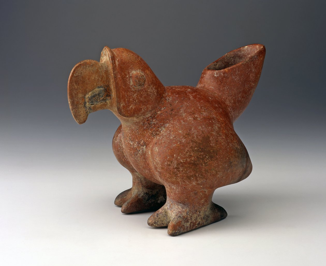 Parrot Effigy Gemi, MÖ 200 - 300 CE (kırmızı astarlı seramik) by West Mexican