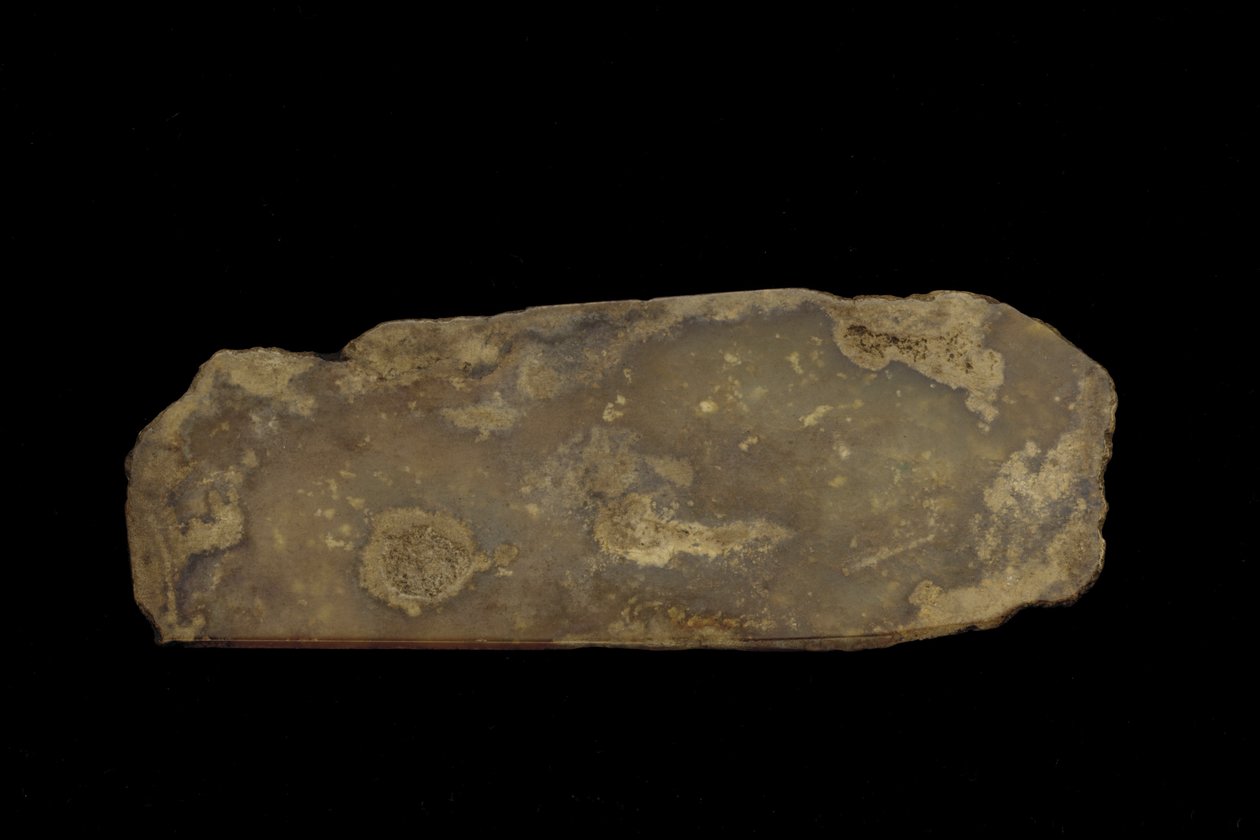 Bir tören silahının parçası (yeşim (nefrit)) by Western Zhou Dynasty Chinese School