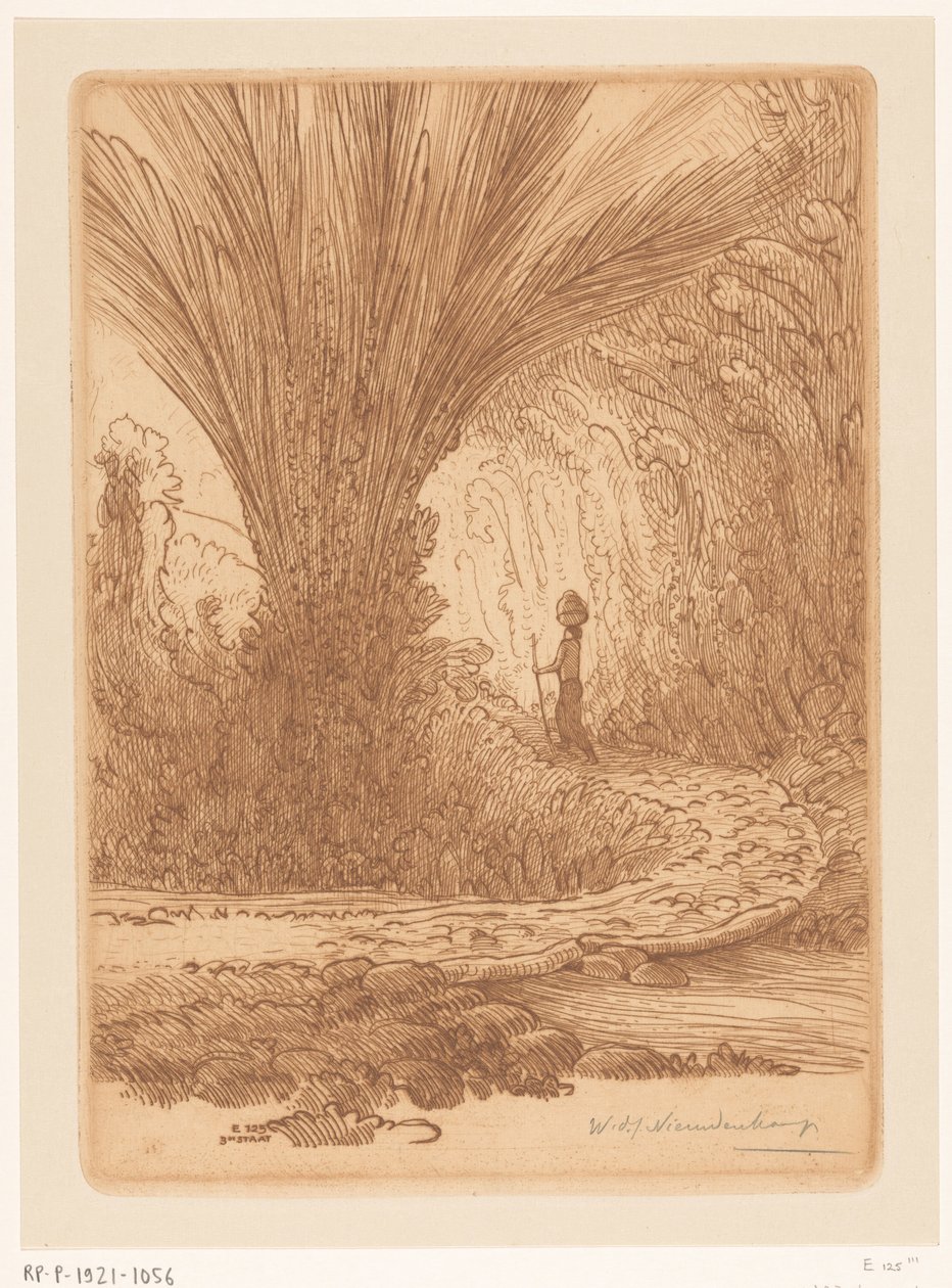 Bali'de aşırı büyümüş dağ tarafı Dağlarda (orijinal başlık) by Wijnand Otto Jan Nieuwenkamp (signed by artist)
