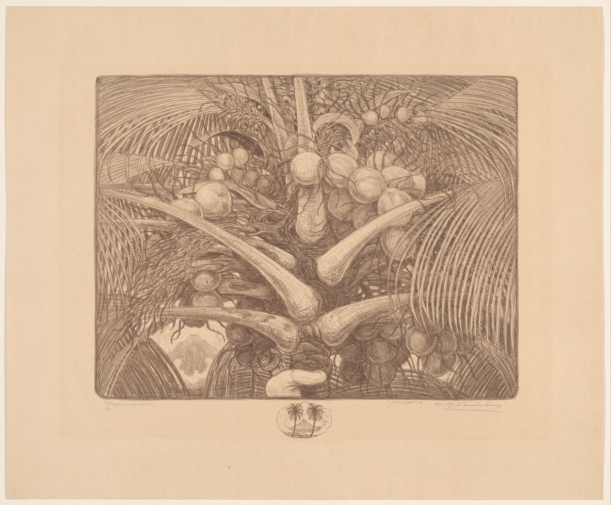 Hindistan cevizi ağacının tepesi Tropenweelde (nesne üzerindeki orijinal başlık) by Wijnand Otto Jan Nieuwenkamp (signed by artist)