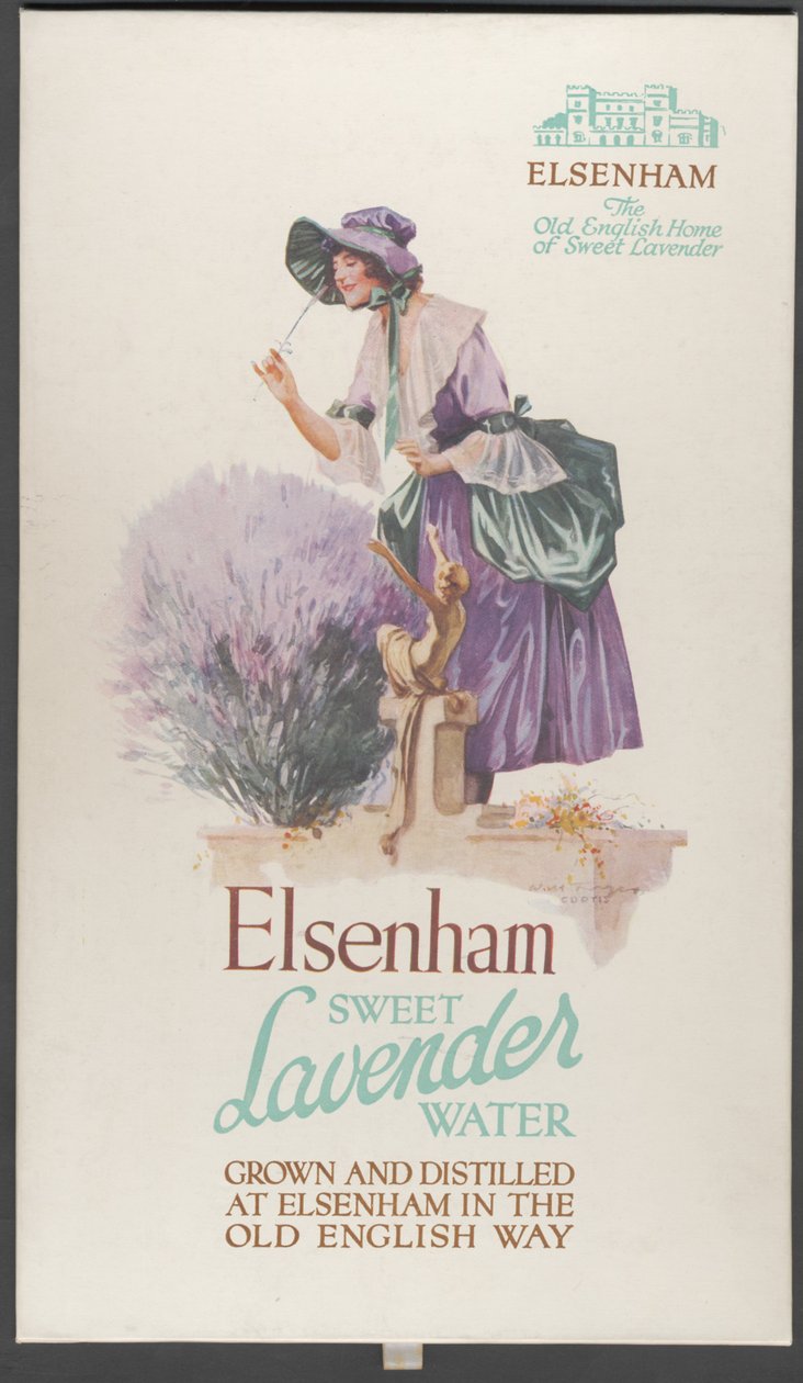 Elsenham Lavanta, 1920