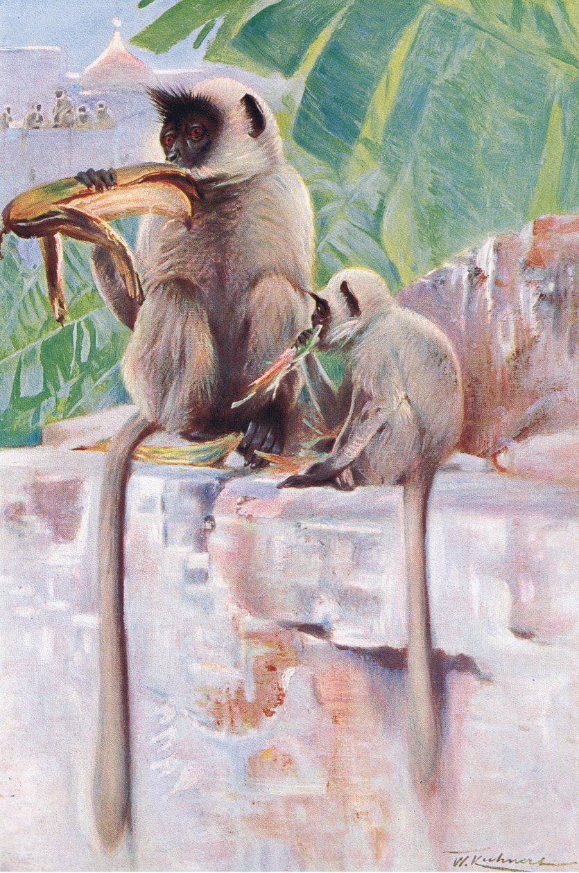 Frederick Warne & Co tarafından yayınlanan Wildlife of the World