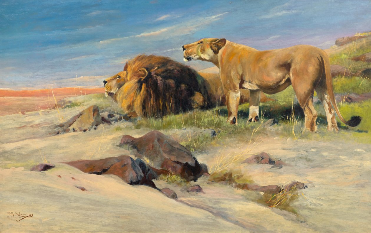 Bozkırda aslan çifti by Wilhelm Kuhnert