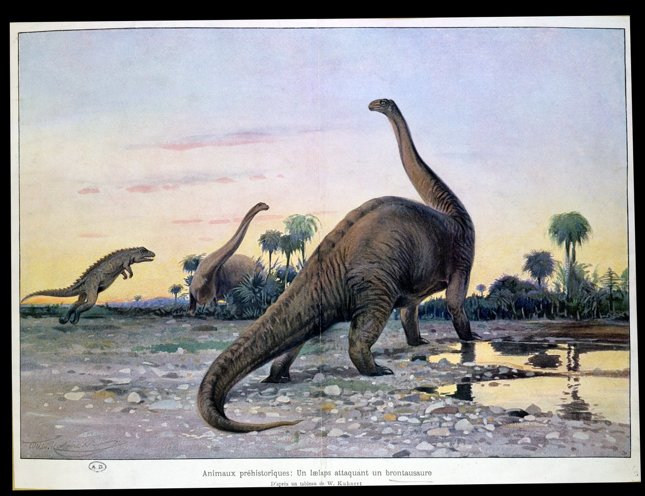 Tarih Öncesi Hayvanlar: Bir Brontosaurus