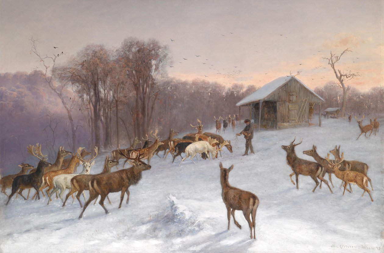Kışın alageyik ve kızıl geyik besleme by Wilhelm Richter