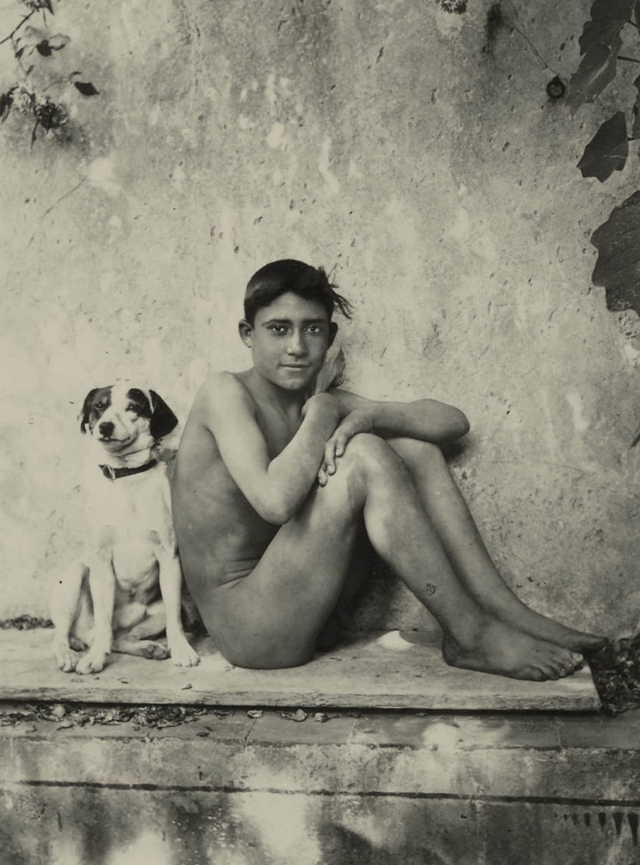 Köpekli çıplak bir çocuğun çalışması, c.1901 by Baron Wilhelm von Gloeden
