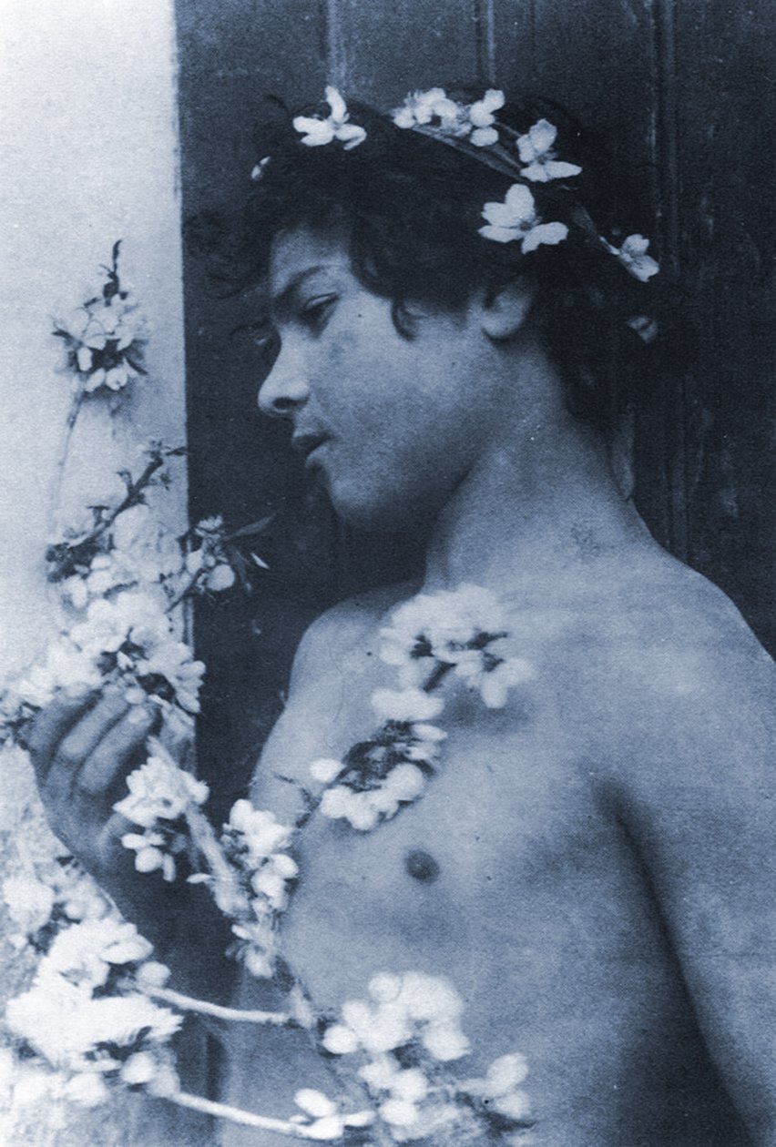 Saçında çiçekler olan genç bir çocuğun incelenmesi, c.1899 (siyanotip) by Baron Wilhelm von Gloeden
