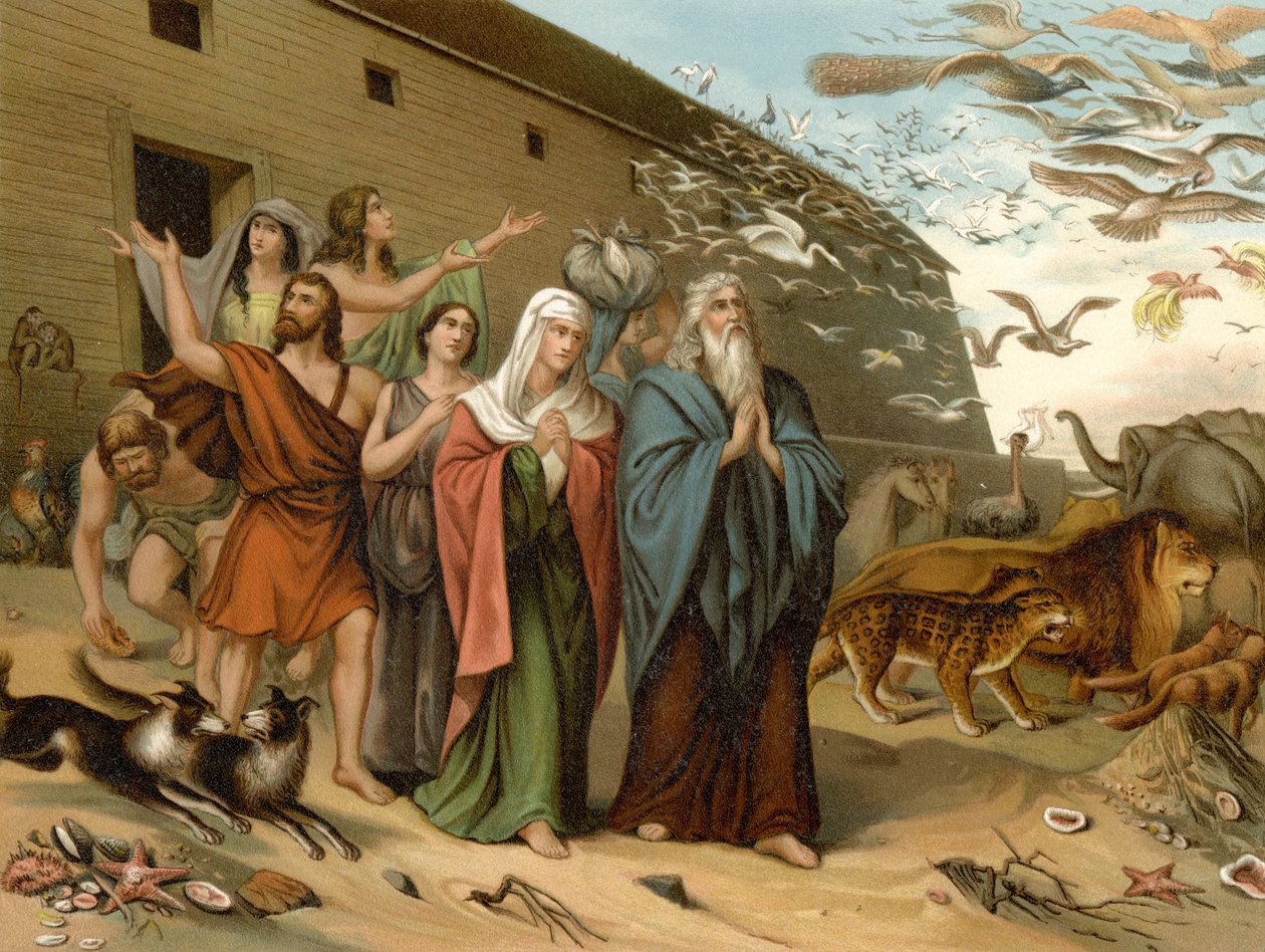 Ark